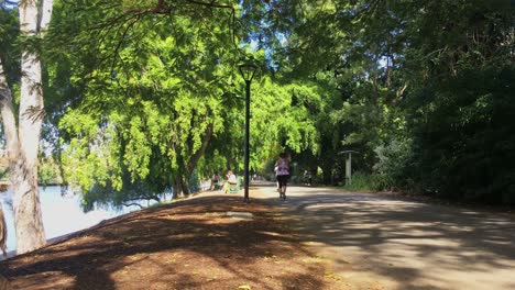 Jogger,-Spaziergänger-Und-Radfahrer-Genießen-Die-Uferwege-Im-Botanischen-Garten-Der-Stadt-In-Brisbane,-Australien