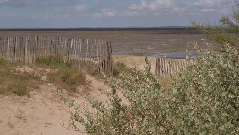 View-from-the-beach-of-the-Moeze-Oleron-Nature-Reserve,-island-of-Oleron