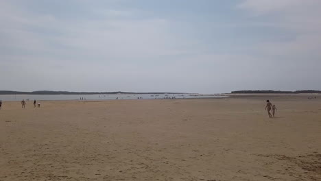 Dolly-camera-move-on-the-Oleron-island-foreshore,-a-territory-at-low-tide-covered-with-sand,-mud-or-rocks,-this-is-a-fragile-area-is-a-natural-reserve