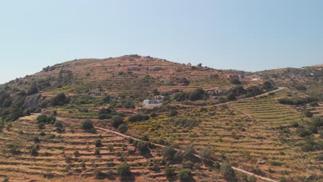 Rising-Aerial-over-dry,-arrid-landscape-with-olive-trees-and-house
