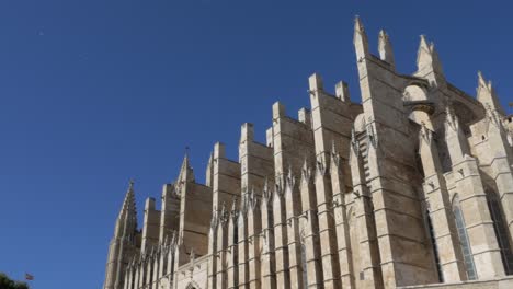Birds-Flying-Over-Top-The-Cathedral-of-Santa-Maria-of-Palma-Exterior-On-a-Sunny-Day