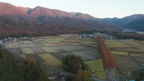 Rice-fields-of-rural-Shiga,-Japan