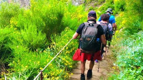 Group-of-backpack-tourists-hiking-through-the-footpath-of-Madeira-Islands-archipelago-highest-mountain-peaks---volcanic-tuff-various-endemisms-nature-walk-high-altitude-breathtaking-view-freedom-eco