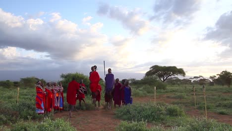 Los-Guerreros-Masai-Realizan-Un-Baile-Cultural-Por-La-Tarde-Para-Los-Huéspedes-Del-Safari