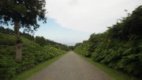 Footage-of-a-road-surrounded-by-green-vegetation
