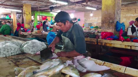 Pescadero-Masculino-Cortó-Un-Poco-De-Carne-De-Pescado