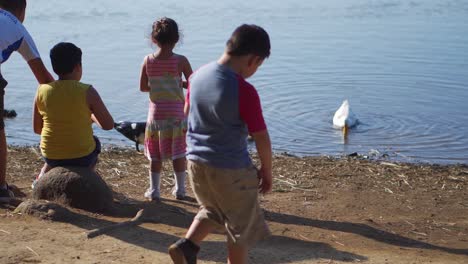 Niños-Alimentando-Patos-En-El-Lago