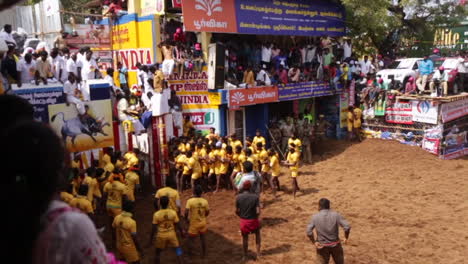Jallikattu,-more-than-2,000-years-old,-is-considered-to-be-one-of-the-oldest-sports-still-practised-in-the-modern-era