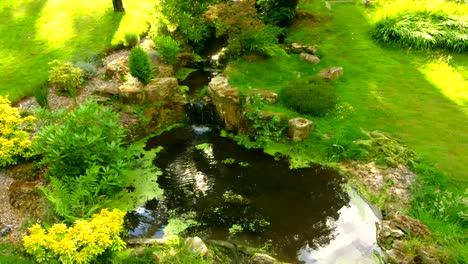 Lovely-stepping-pond-stream-in-beautiful-green-garden