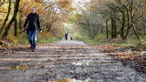 Hombre-Casual-Caminando-Por-Un-Largo-Camino-De-Tierra-Fangoso-En-El-Bosque-De-Otoño