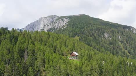 Quaint-mountain-hut-surrounded-by-green-forrest,-Alps