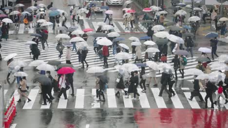 Cámara-Lenta-De-La-Gente-De-La-Ciudad-Con-Paraguas-Cruzando-La-Carretera-En-Un-Clima-Lluvioso---Cruce-De-Shibuya-En-Tokio---Tiro-Tele