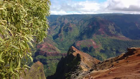 4K-Hawaii-Kauai-boom-up-and-pan-left-to-right-of-Waimea-Canyon-with-a-tree-frame-left-to-Waimea-Canyon-with-tourists-on-a-lookout-point-frame-right-with-a-bright-partly-cloudy-sky