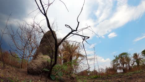 Termite-mound-and-burnt-trees-on-dry-landscape-timelapse-of-rain-clouds-arriving