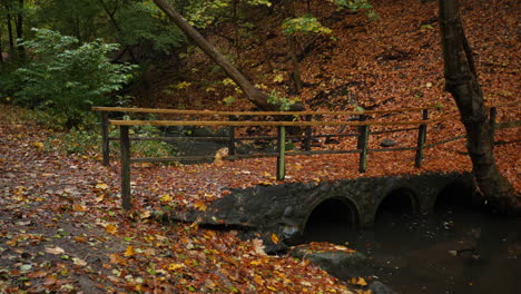 Herbststeinbrücke-Im-Wald