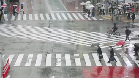 World's-Busiest-Crosswalk---Asian-People-Holding-Umbrellas-Up-And-Crossing-The-Wet-Road-On-A-Rainy-Day-At-The-Famous-Shibuya-Crossing-In-Tokyo,-Japan