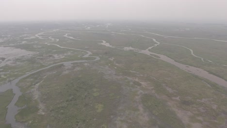 Luftaufnahme-Von-Flusszuflüssen-In-Brasilien