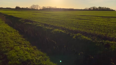 Neigen-Sie-Eine-Breite-Aufnahme-Eines-Wunderschönen-Grünen,-Weichen-Landwirtschaftlichen-Feldes-Und-Eines-Farbenfrohen-Sonnenuntergangs-Im-Hintergrund