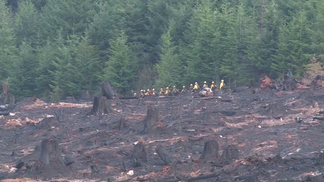 Filas-De-Bomberos-Caminando-Sobre-Una-Línea-De-Fuego-Después-De-Un-Incendio-Forestal.