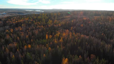 Umgekehrte-Drohnenaufnahmen,-Die-Einen-Verschönerten-Herbstwald-Zeigen