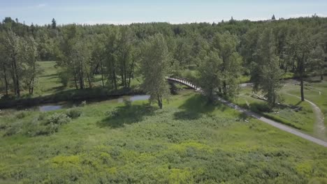 An-arched-bridge-over-a-lazy-grassland-creek