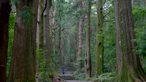 Hombre-Caminando-Por-Una-Sección-Del-Sendero-De-Peregrinación-Koyasan-En-Japón