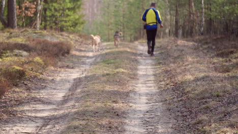 running-with-dogs-via-forest