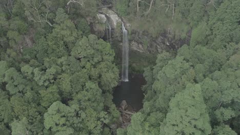 Twin-falls-waterfall-in-the-heart-of-the-rainforest