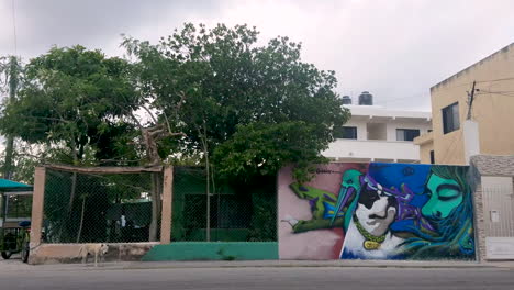 Graffitiwand-Eines-Hundes-In-Der-Innenstadt-Von-Playa-Del-Carmen,-Derselbe-Hund-Steht-Auf-Der-Linken-Seite