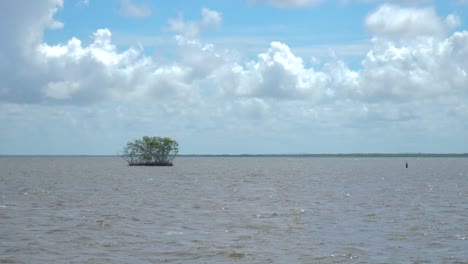 Mound-of-vegetation-in-the-middle-of-the-Sea,-Isabela-de-Sagua
