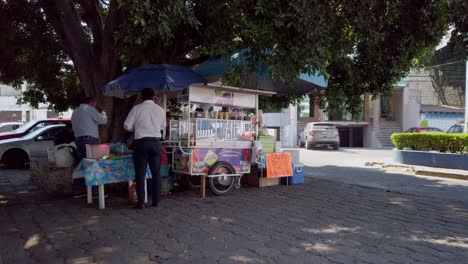 Fruit-Car-selling-food-in-the-street-in-slow-motion