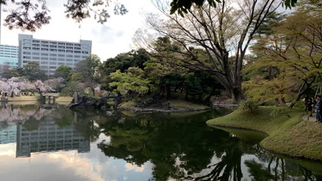 Reflection-in-the-lake-of-the-cherry-tree,-green-tree-and-building-at-Koishikawa-Botanical-Garden
