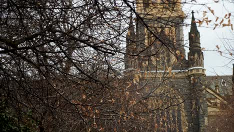 St-Patrick's-Cathedral,-melbourne,-Australia-St-Patrick's-Cathedral-architecture-melbourne-historical-church