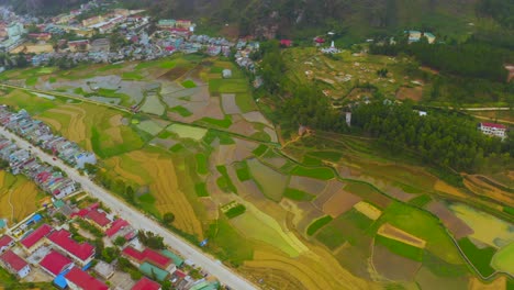 Aerial-top-down-shot-of-rice-patties-along-a-river-leading-into-the-town-of-Dong-Van,-on-the-Dong-Van-Karst-plateau-geopark