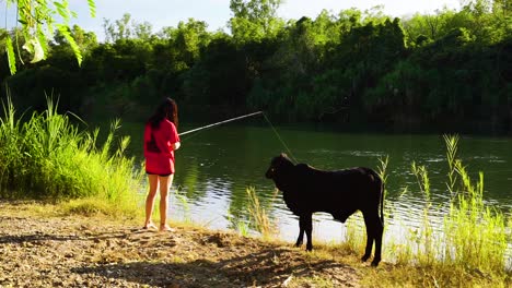Mujer-Arroja-Caña-De-Pescar-Al-Río-Con-Una-Pequeña-Vaca-Negra-A-Su-Lado