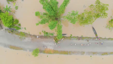 4K-Luftaufnahme-Von-Oben-Nach-Unten-Von-Kamala-Bari-Auf-Der-Majuli-Flussinsel,-überflutet-Von-Den-Überschwemmungen-Des-Brahmaputra-Monsuns
