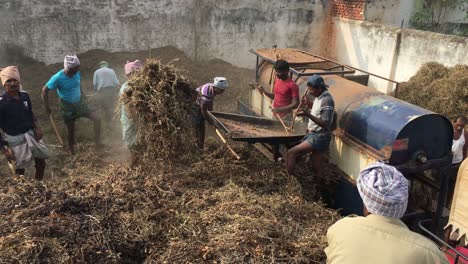 Indische-Bauern-Füllen-Eine-Landmaschine-Mit-Heu-Zur-Verarbeitung