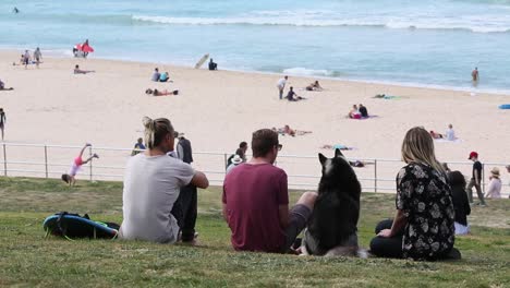 A-group-of-friends-including-a-big-husky-dog-are-hanging-out-at-the-beach-and-checking-out-the-waves-and-getting-ready-to-go-for-a-surf