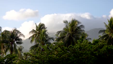 Nubes-Pasando-Sobre-Una-Cordillera-En-Una-Isla-Tropical-En-Asia-Con-Palmeras-Timelapse-4k