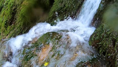 A-small-forest-waterfall,-time-lapse
