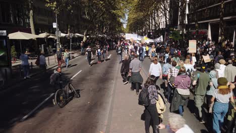 Huge-crowd-of-students,-teenagers-and-other-protesters-march-down-a-boulevard-with-trees,-to-demand-political-action-against-global-warming