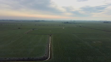 Drohnenschwebeflug-über-Wiesen-Europa-Niederlande,-Friesland