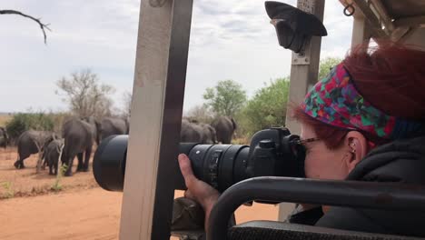 Photo-Safari-participant-points-telephoto-lens-at-nearby-elephants