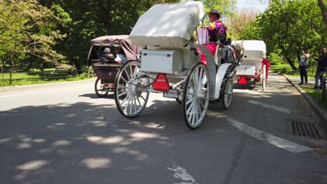 Guided-horse-carriage-tour-through-Central-Park-in-New-York-City