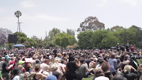 Black-Lives-Matter-Rally-and-Protest,-Wide-Shot-of-Crowd