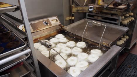 A-black-millennial-baker-wearing-an-apron-takes-a-tray-of-fresh-doughnuts-out-of-the-fridge-and-places-the-metal-tray-of-donuts-into-a-hot-fryer-to-cook