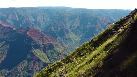HD-Hawaii-Kauai-slow-motion-pan-right-to-left-from-shadowed-grassy-hillside-along-Waimea-Canyon-landing-on-a-waterfall-in-the-canyon-in-distance