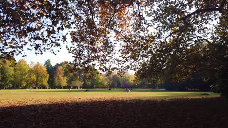 Menschen-Genießen-Das-Tageslicht-Im-Wunderschönen-Goldenen-Herbst-Margaret-Park-In-Budapest