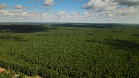 Aerial---Flying-over-the-endless-dense-green-forest-on-a-cloudy-day-in-Kowalskie-Blota,-Poland,-daytime,-backward-movement