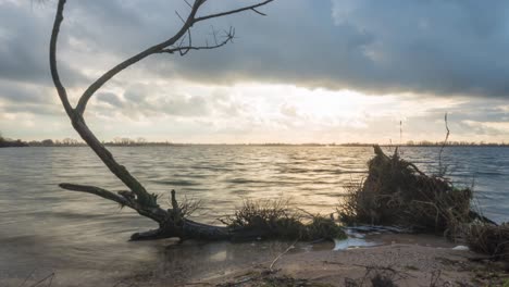 Tree-trunk-washed-ashore,-time-lapse-of-coastal-beach-waves,-slider-shot